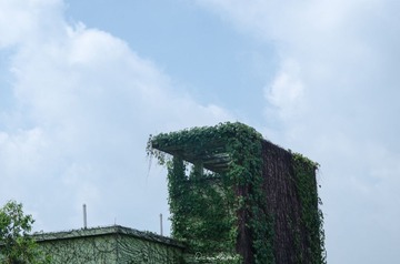 DSC_2290_副本.jpg