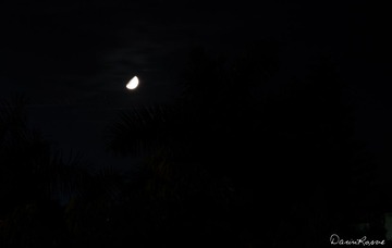 DSC_2479-1_副本.jpg