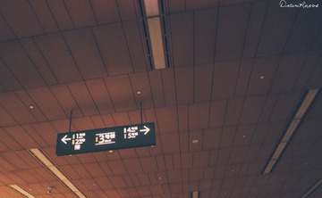 DSC_2517-2_副本.jpg