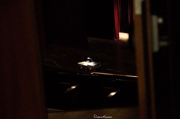 DSC_2532-2_副本.jpg