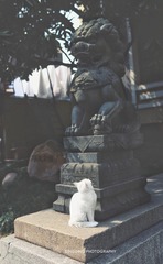 仰望