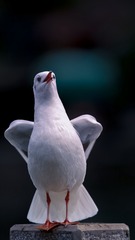 573665