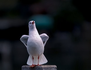 573656