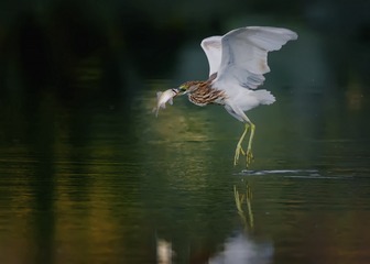 559767