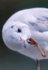 573663