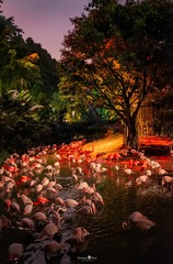 暗夜魅影2