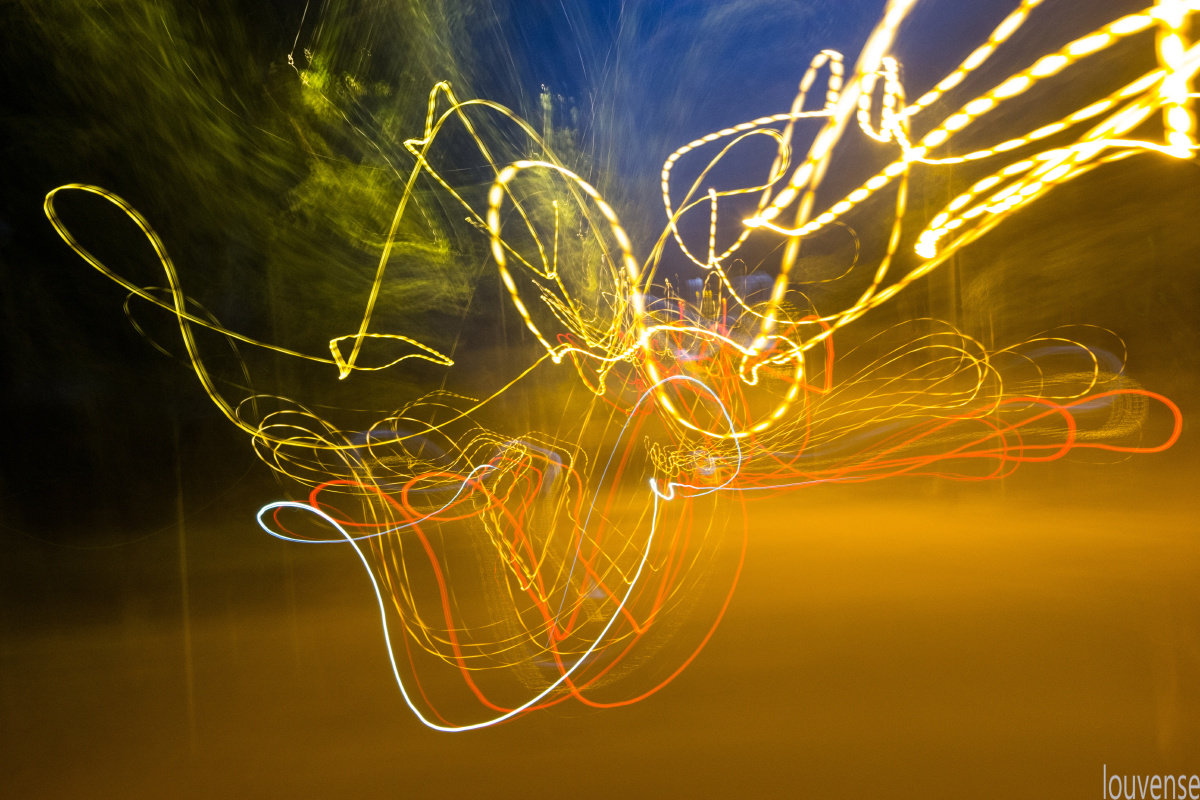 蝴蝶 br /> 飞舞的蝴蝶