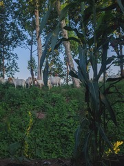 2500