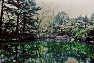 _DSC0028.jpg
