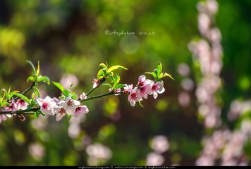 _DSC0033.jpg
