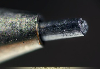 _DSC0011.jpg