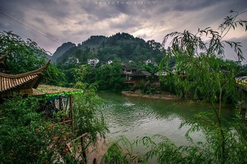 _DSC0011.jpg