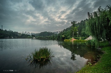 _DSC0020.jpg