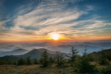 _DSC0175