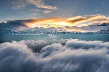 _DSC30891
