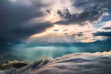 _DSC28181