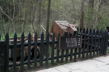 SAM_0143