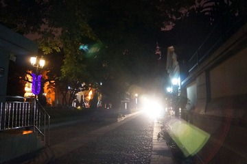 DSC49.jpg