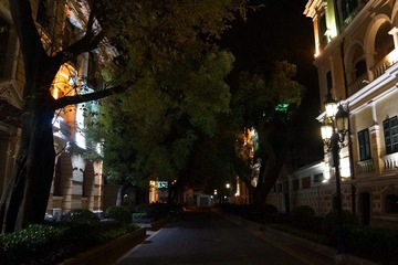 DSC54.jpg