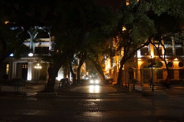 DSC56.jpg
