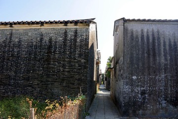DSC54.jpg