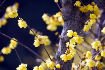 DSC01.jpg