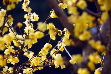 DSC05.jpg