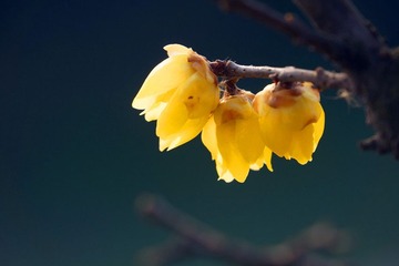 DSC09.jpg
