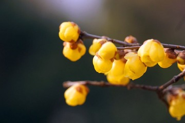 DSC13.jpg