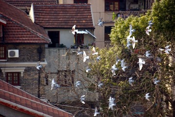 DSC08.jpg