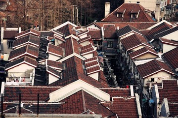 DSC16.jpg