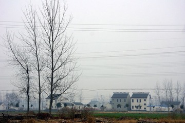DSC02.jpg