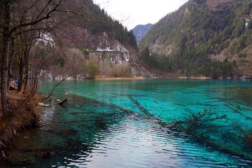 DSC37.jpg