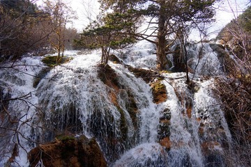 DSC48.jpg