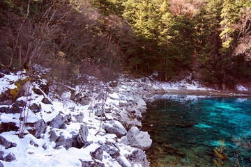 DSC65.jpg