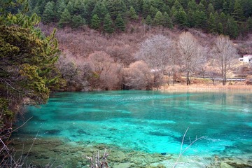 DSC78.jpg