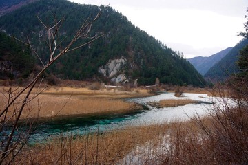 DSC80.jpg