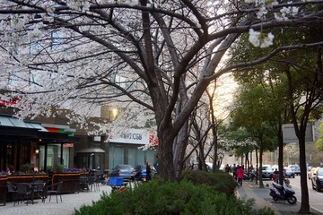 DSC01.jpg