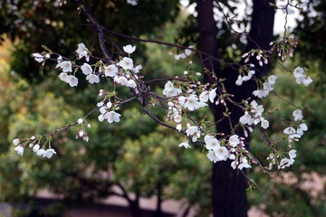 DSC13.jpg