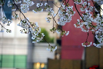 DSC21.jpg