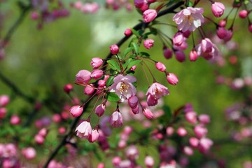 DSC09382_副本.jpg