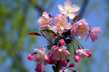 DSC09383_副本.jpg