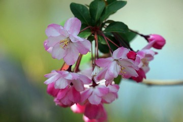 DSC09385_副本.jpg