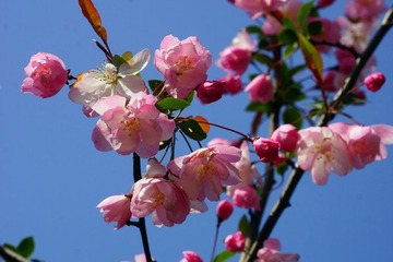 DSC09386_副本.jpg