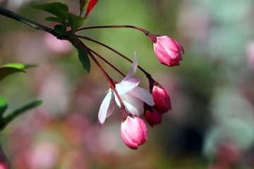 DSC09478_副本.jpg