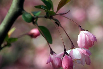 DSC09485_副本.jpg