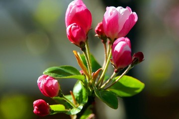 DSC09486_副本.jpg