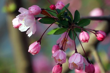 DSC09493_副本.jpg