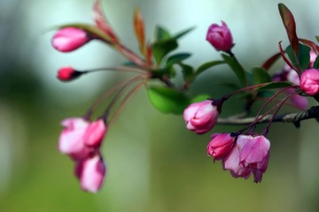 DSC09494_副本.jpg