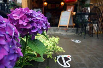 05.jpg